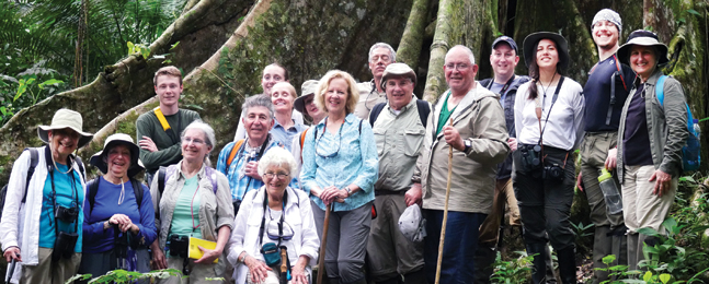 A group of people stand at the base of an enormous tree 